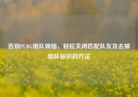 告别PUBG组队烦恼，轻松关闭匹配队友及去掉组队标识的方法