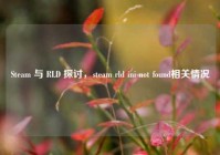 Steam 与 RLD 探讨，steam rld ini not found相关情况