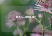 探寻Pubg中国吃鸡王