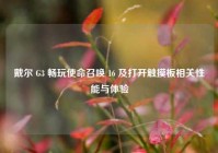 戴尔 G3 畅玩使命召唤 16 及打开触摸板相关性能与体验