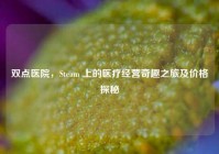 双点医院，Steam 上的医疗经营奇趣之旅及价格探秘