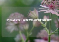 PUBG外皮肤，游戏世界里的独特风景线