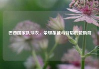 巴西国家队球衣，荣耀象征与背后的赞助商