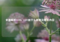 全面解析UEFI，UEFI是什么意思及相关内容