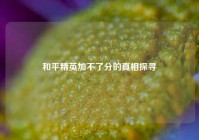 和平精英加不了分的真相探寻