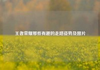 王者荣耀那些有趣的走路姿势及图片