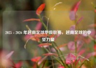 2025 - 2026 年越南足球甲级联赛，越南足球的中坚力量