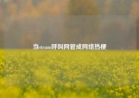 当steam呼叫网管成网络热梗