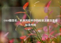 CSGO囤签名，机遇风险并存的投资之路及签名标签代码