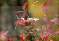 足球比赛的时长