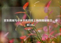 京东商城与小米手机的线上购物精彩组合，小米11Pro