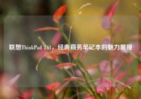 联想ThinkPad T61，经典商务笔记本的魅力展现