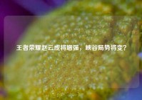 王者荣耀赵云或将增强，峡谷局势将变？