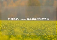 热血激战，Steam 激斗战车的魅力之旅