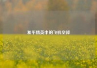 和平精英中的飞机空降
