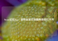 Steam论坛App，游戏玩家交流新阵地却打不开