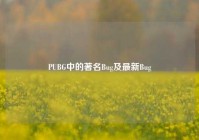 PUBG中的著名Bug及最新Bug