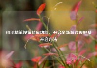 和平精英视角转向功能，开启全新游戏视野及开启方法