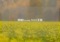 探秘Foxconn N15235主板