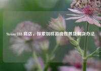 Steam 118 商店，探索别样游戏世界及解决办法