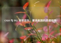 CSGO 与 PGL 背景音乐，赛场氛围的灵魂纽带