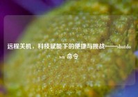 远程关机，科技赋能下的便捷与挑战——shutdown 命令