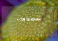 CF 龙珠代做相关探讨