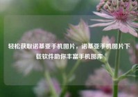 轻松获取诺基亚手机图片，诺基亚手机图片下载软件助你丰富手机图库