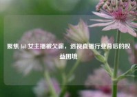 聚焦 lol 女主播被欠薪，透视直播行业背后的权益困境