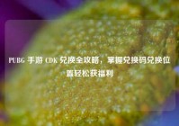 PUBG 手游 CDK 兑换全攻略，掌握兑换码兑换位置轻松获福利