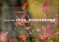 Steam Link 关机指南，轻松应对设备关闭需求