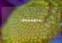 C罗的全名是什么