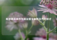 和平精英操作布局设置全解析及方式探讨