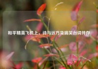 和平精英飞机上，诗与远方及搞笑台词并存