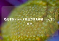 绝地求生（PUBG）重连方法全解析，pubg怎么重连