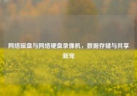 网络磁盘与网络硬盘录像机，数据存储与共享新宠