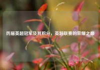 历届英超冠军及其积分，英超联赛的荣耀之巅