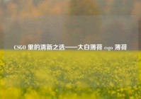 CSGO 里的清新之选——大白薄荷 csgo 薄荷