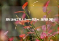 篮球迷的宝藏之地——新浪NBA官网信息网
