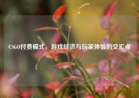 CSGO付费模式，游戏经济与玩家体验的交汇点