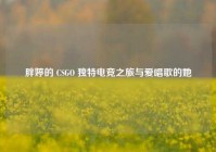 胖婷的 CSGO 独特电竞之旅与爱唱歌的她