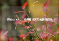 探秘Hak CSGO，揭开竞技背后的神秘面纱