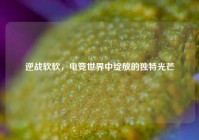 逆战软软，电竞世界中绽放的独特光芒