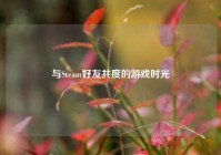 与Steam好友共度的游戏时光