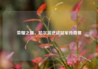 荣耀之巅，哈尔滨逆战冠军传奇赛