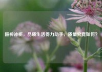 阪神冰柜，品质生活得力助手，质量究竟如何？