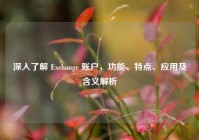 深入了解 Exchange 账户，功能、特点、应用及含义解析