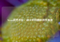 Steam战术小队，战火中的团队协作盛宴