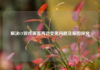 解决CF游戏画面两边变黑问题及原因探究