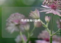 如何查询CF信用